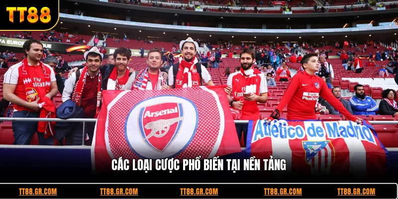 Các loại cược phổ biến tại nền tảng
